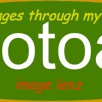 nz photoart  tshirts Thumbnail