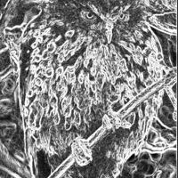 Moreporkbrewing Thumbnail